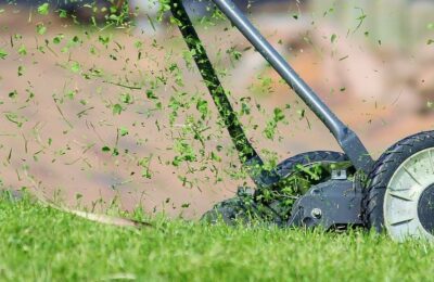 Herbstkur und Pflege für den Rasen