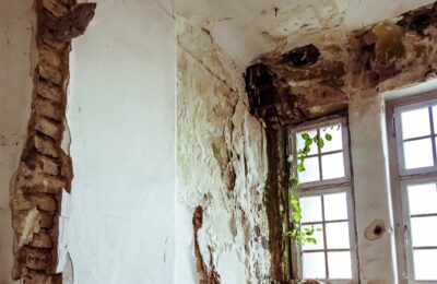 Schimmel an der Wand – was tun?