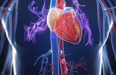 Ratgeberaktion: Kein Herzinfarkt kommt plötzlich!