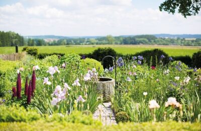 Antibiotika aus der Natur
