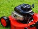 Regelmäßigen Rasenmähen ist die Voraussetzung für einen gesunden und gepflegten Rasen. - Foto: pixabay.com/Alexas_Fotos/CCO