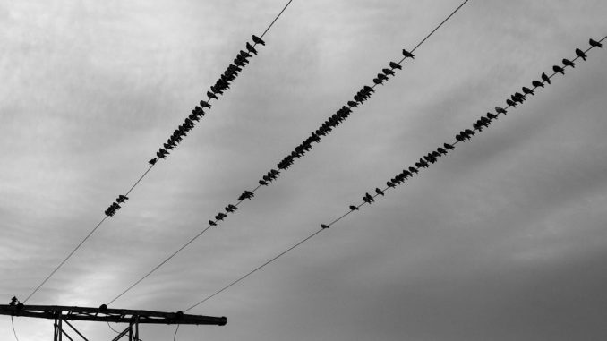 Bei vielen Stromanbietern ist es von Bedeutung, ob der Umzug innerhalb oder außerhalb des eigenen Netzgebietes stattfindet.