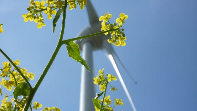 Bei Ökostrom geht man davon aus, das der Strom aus erneuerbaren Energien gewonnen wird.