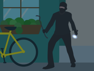 Es geht nicht nur darum, dass Einbrecher keine dunklen Wege finden, sondern auch, dass die Nachbarn nicht gestört werden. - Foto: pixabay.com/Ricinator/CCO