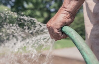 Wasser sparen im Gemüsegarten