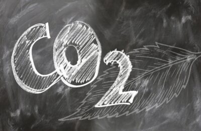 Möglichkeiten, Ihren CO2-Fußabdruck zu reduzieren durch Gartenarbeit