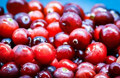 Cranberry: das amerikanische Superfood erobert Europa