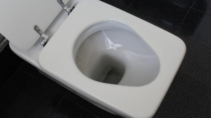 wc-1021577_1280