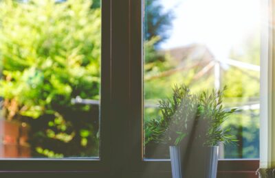 Was passiert, wenn man die Fenster nie sauber macht?