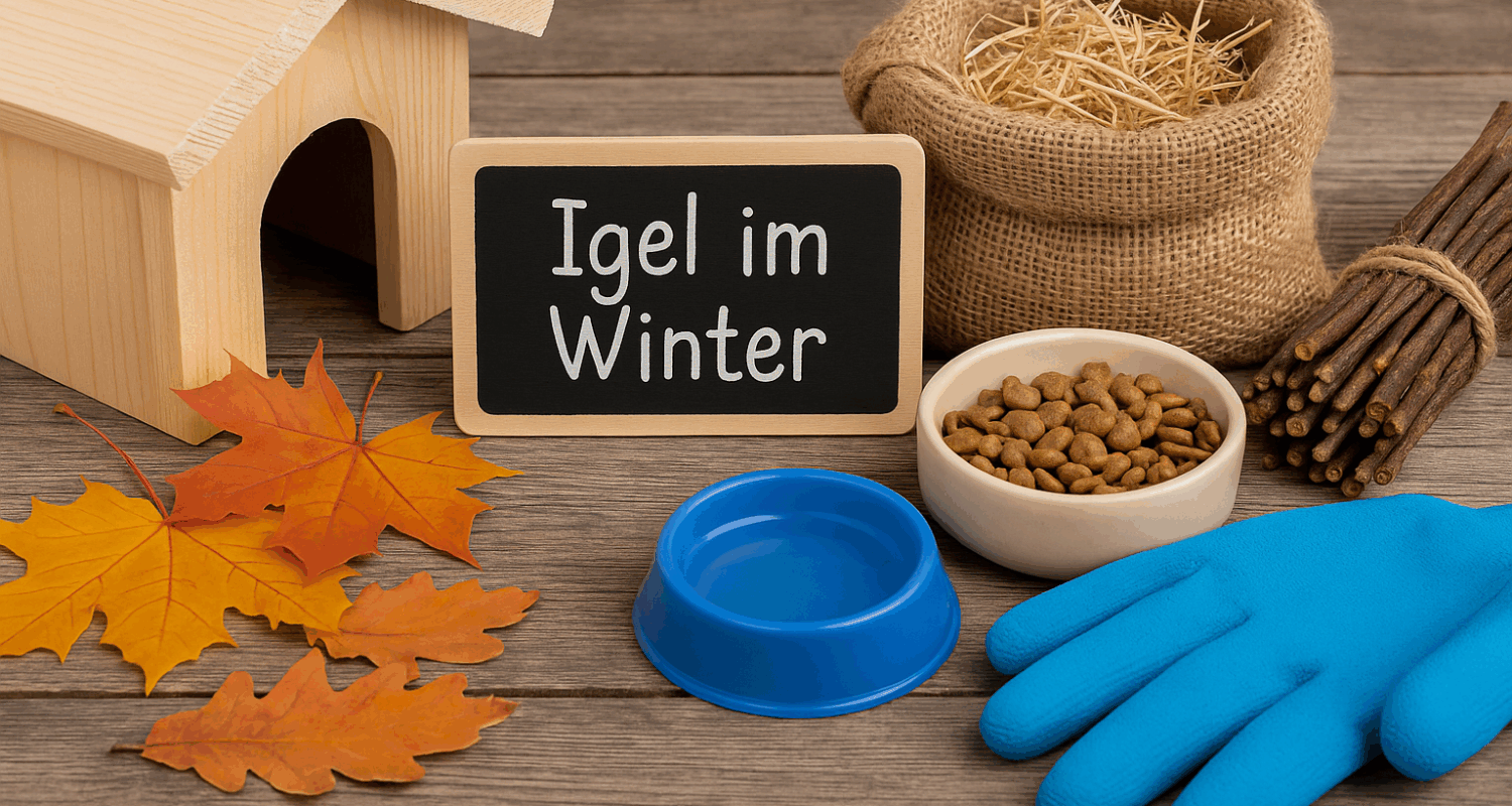 Holz-Igelhaus, Herbstlaub, blauer Futternapf, Schale mit Trockenfutter, Jutesack mit Stroh, gebündelte Zweige, blaue Gartenhandschuhe und Kreidetafel mit der Aufschrift „Igel im Winter“ auf Holzuntergrund