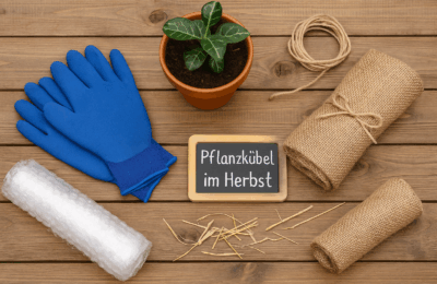 Pflanzkübel im Herbst: So schützt du deine Topfpflanzen vor Frost